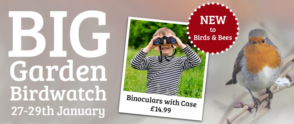 Birdwatch Header