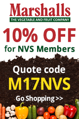 Graphic created for the NVS