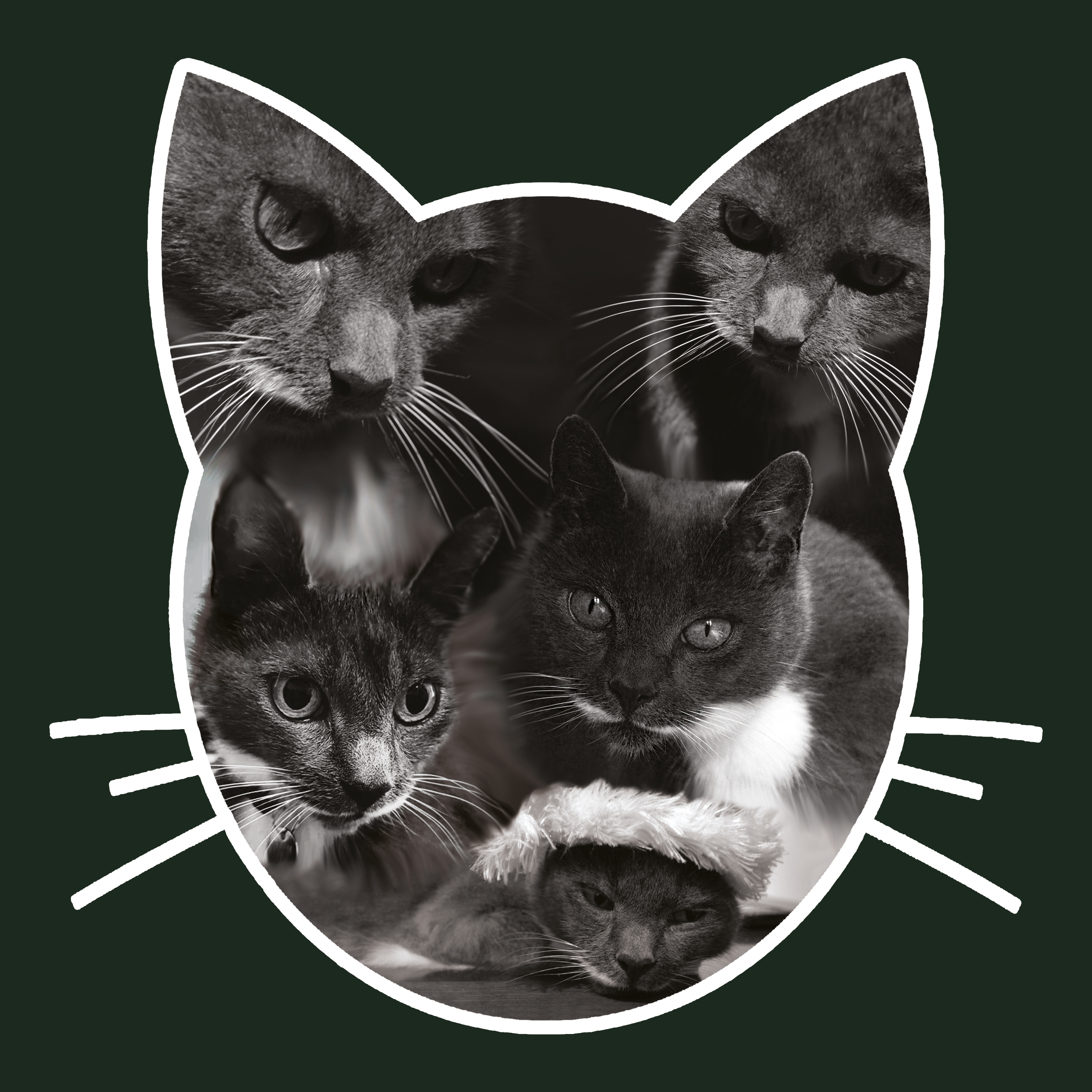 Created for a friend